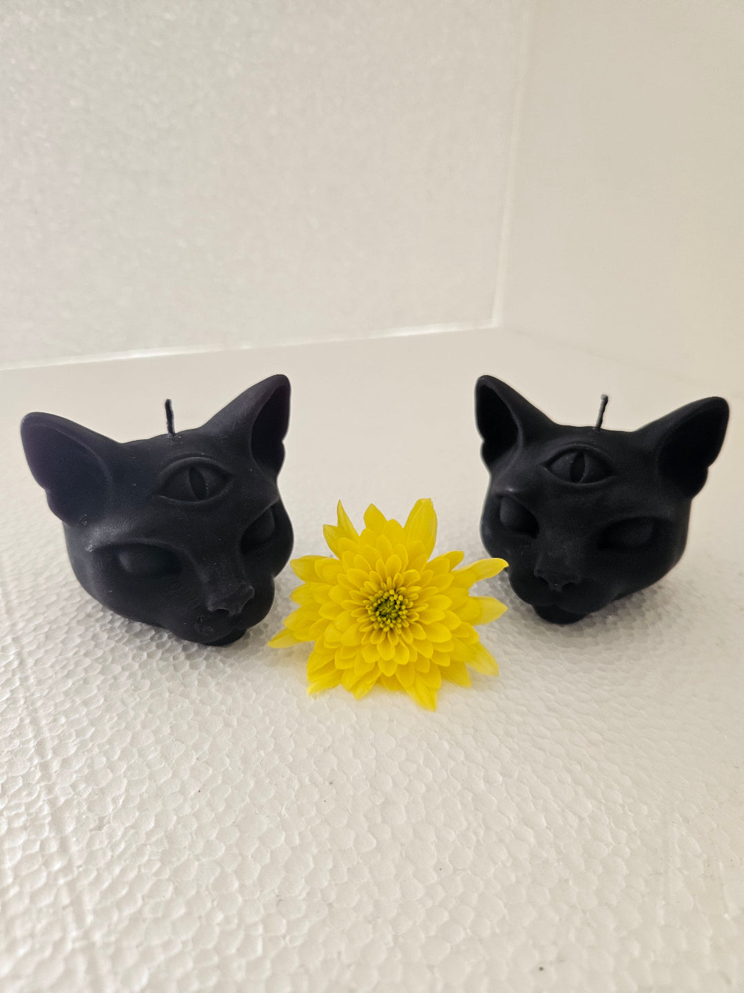 Cat candles with 3rd eye