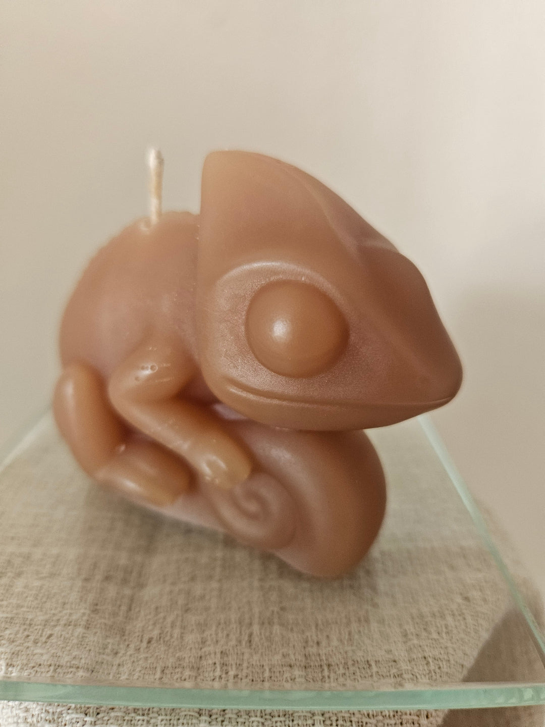 Chameleon candles