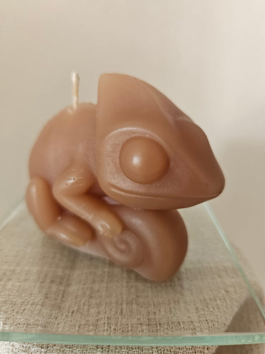 Chameleon candles
