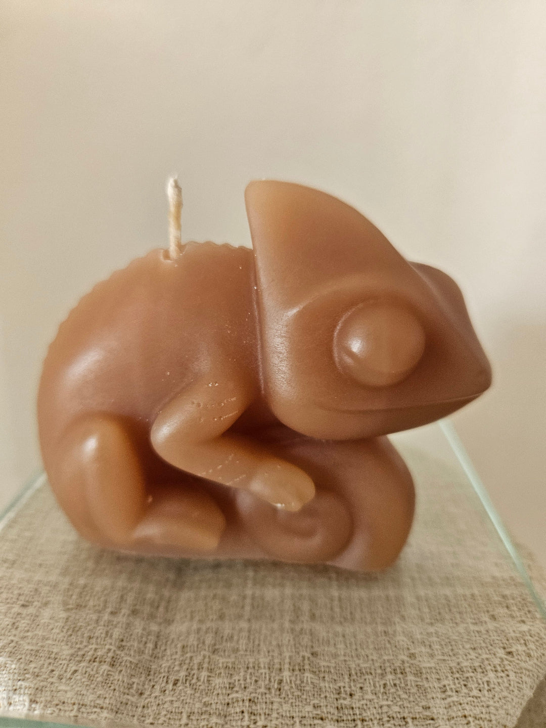 Chameleon candles