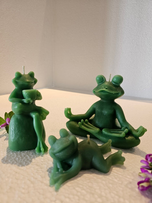 Froggy family set