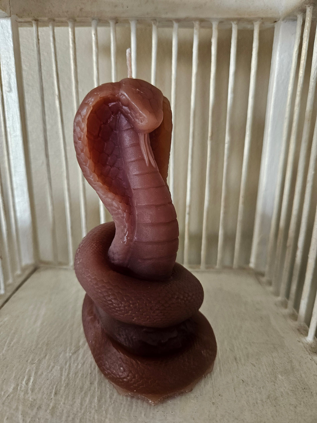 King cobra candles