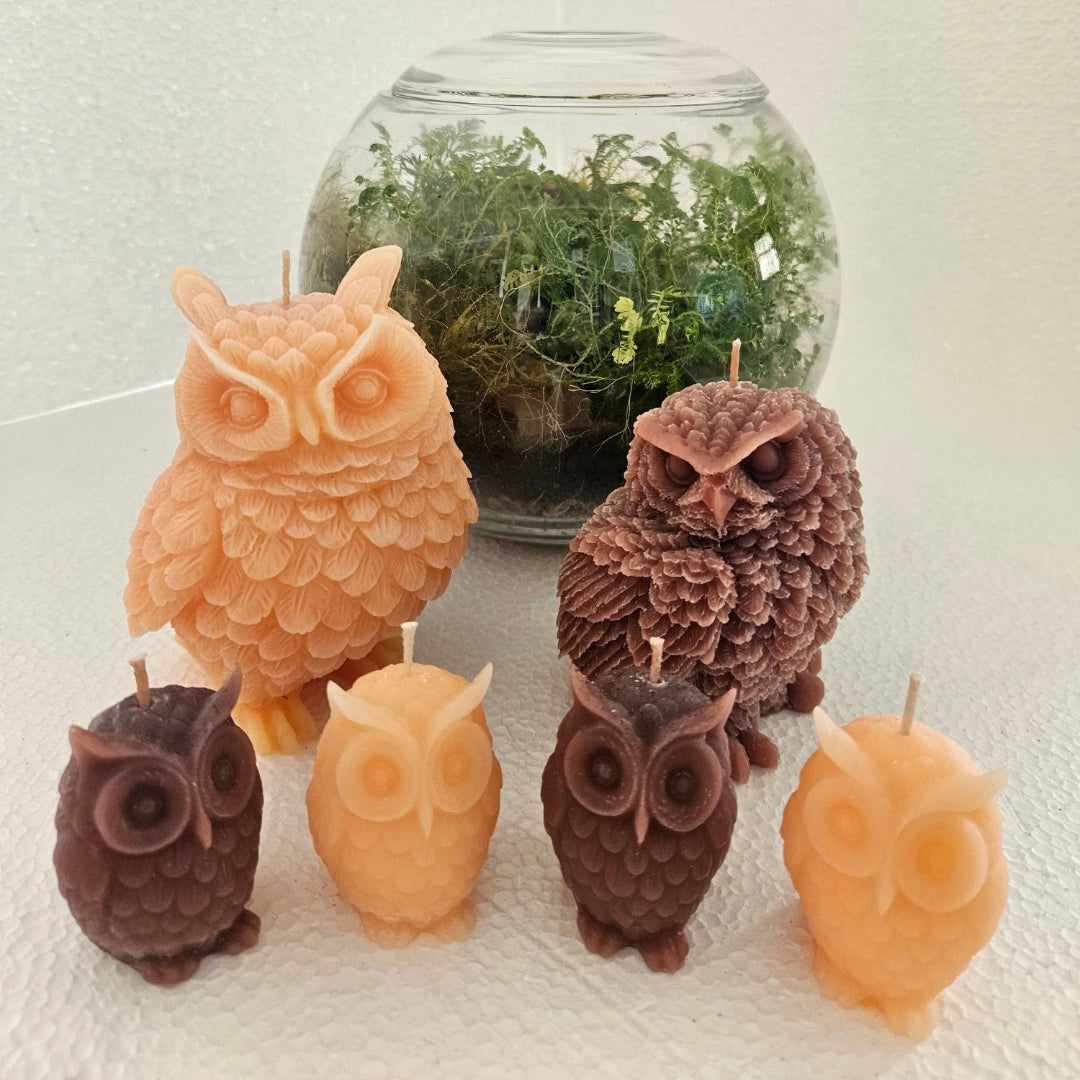 Owl family- candles (set of 6 owls)