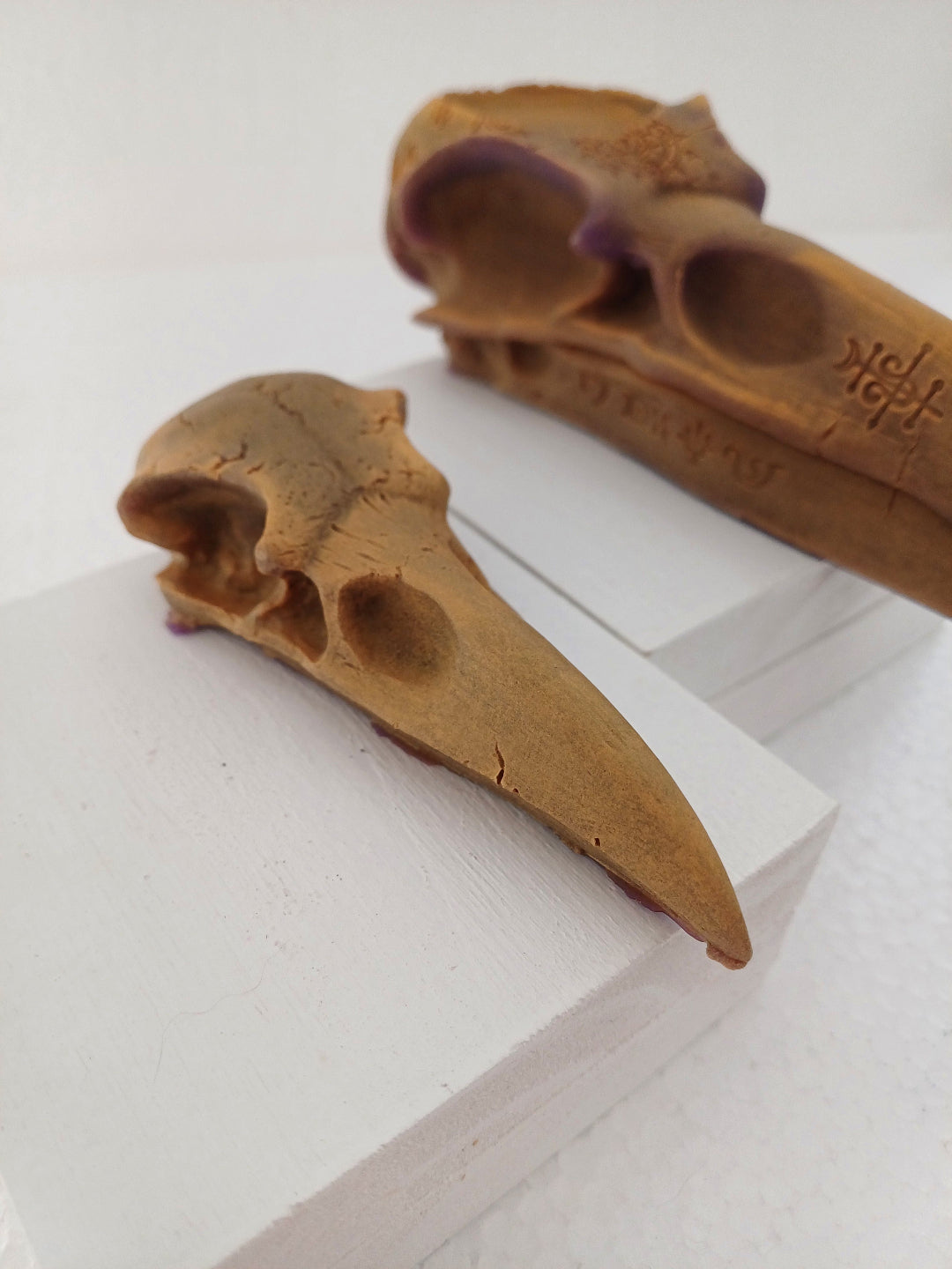 Raven skull candles (set of two)- Large and small