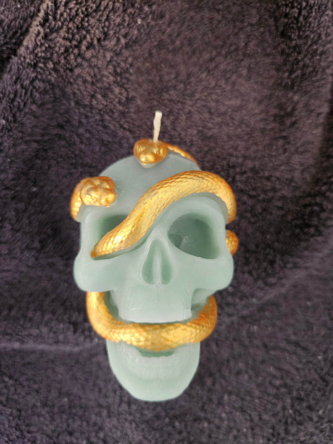 Serpent skull candles