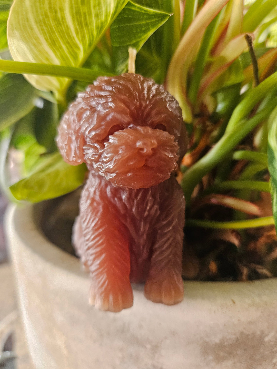 Puppy candles