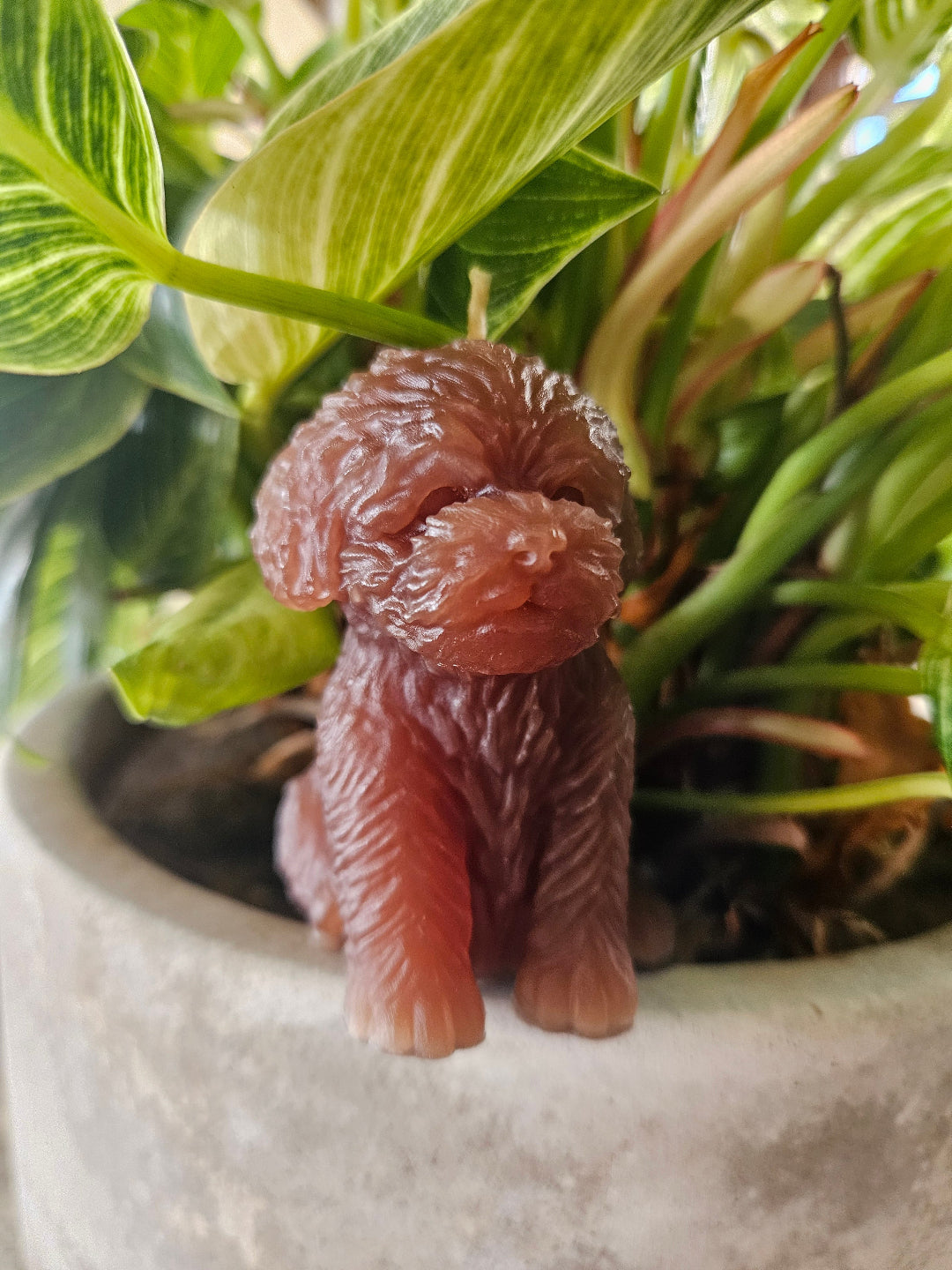 Puppy candles