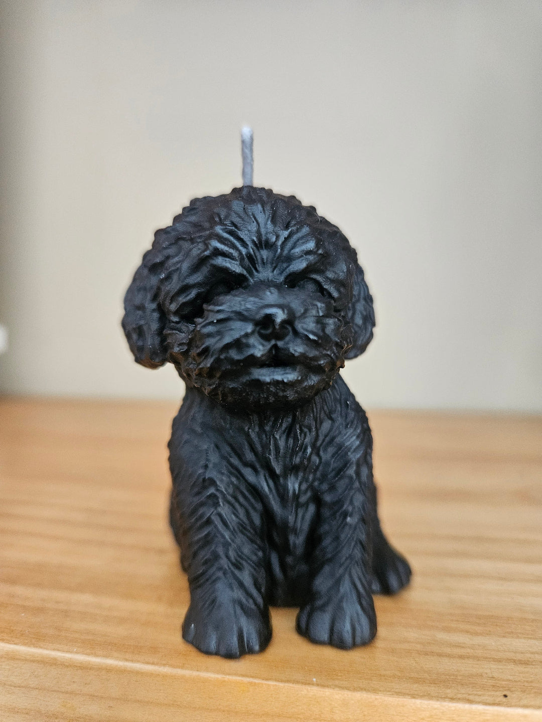 Puppy candles
