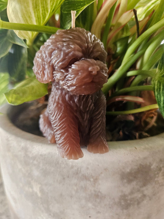 Puppy candles
