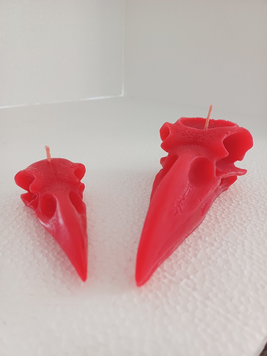 Raven skull candles (set of two)- Large and small